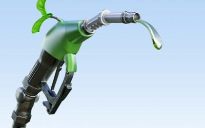 Eni e Moçambique acordam produção para biocombustíveis