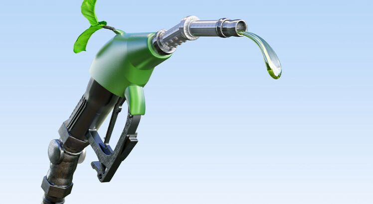 Eni e Moçambique acordam produção para biocombustíveis