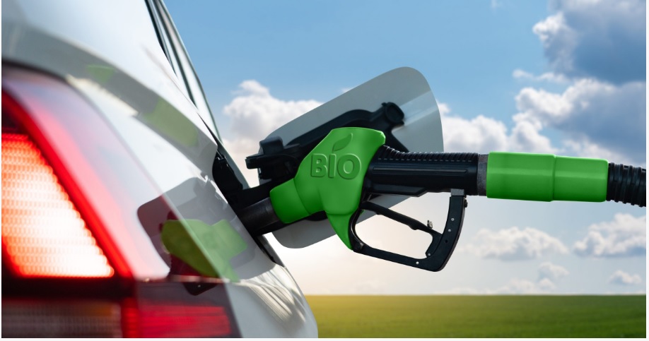 Carta de mais de 500 empresas pede à Comissão Europeia que inclua a bioenergia como parte da estratégia REPowerEU
