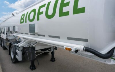 Biocombustíveis: Portugal pode poupar até 1 milhão de toneladas/ano de CO2