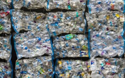Economia circular: ‘Lixo’ deve ser valorizado como recurso, defendem especialistas