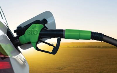 Biocombustíveis: alternativa para uma mobilidade mais sustentável