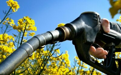 Biocombustíveis representam cerca de 84% aos combustíveis fósseis
