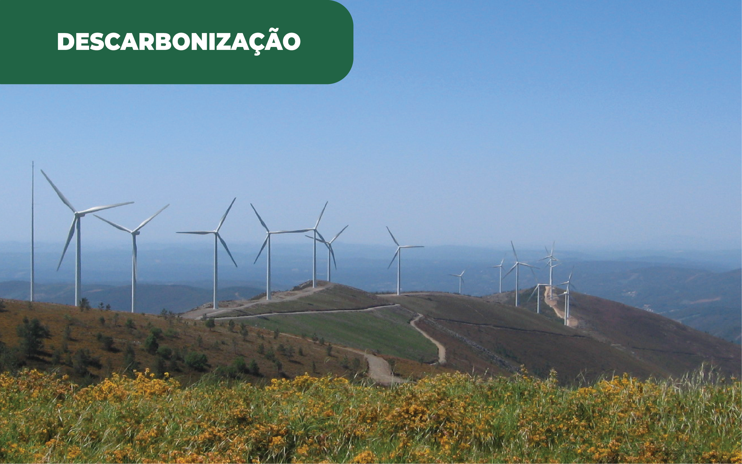 A ilha da Madeira promove a produção de hidrogénio verde. Na transição energética, o arquipélago também opta pela descarbonização.