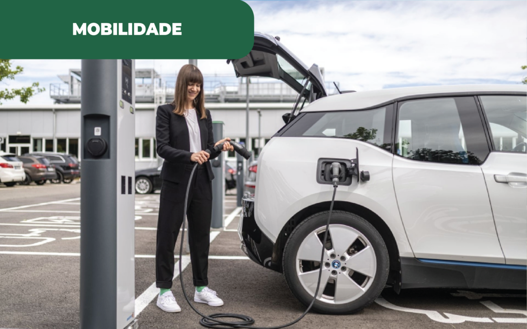 Portugal e a transição elétrica, um exemplo europeu