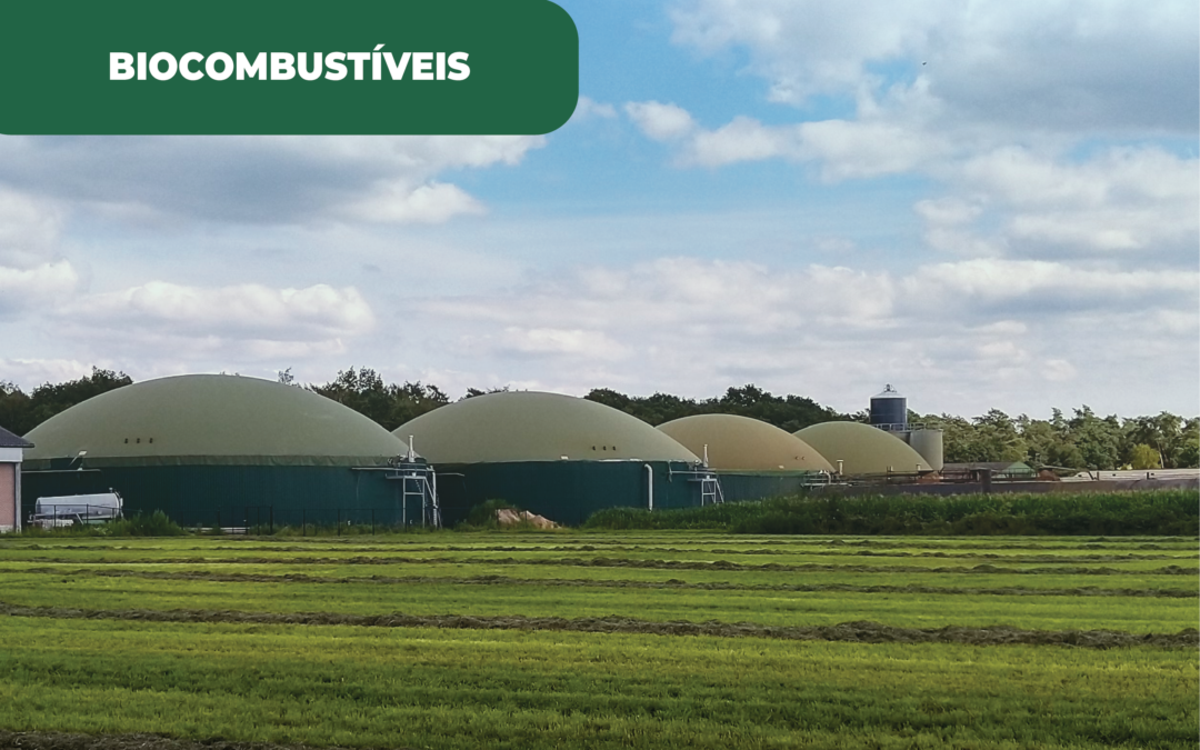 A redução de CO2 com biocombustíveis