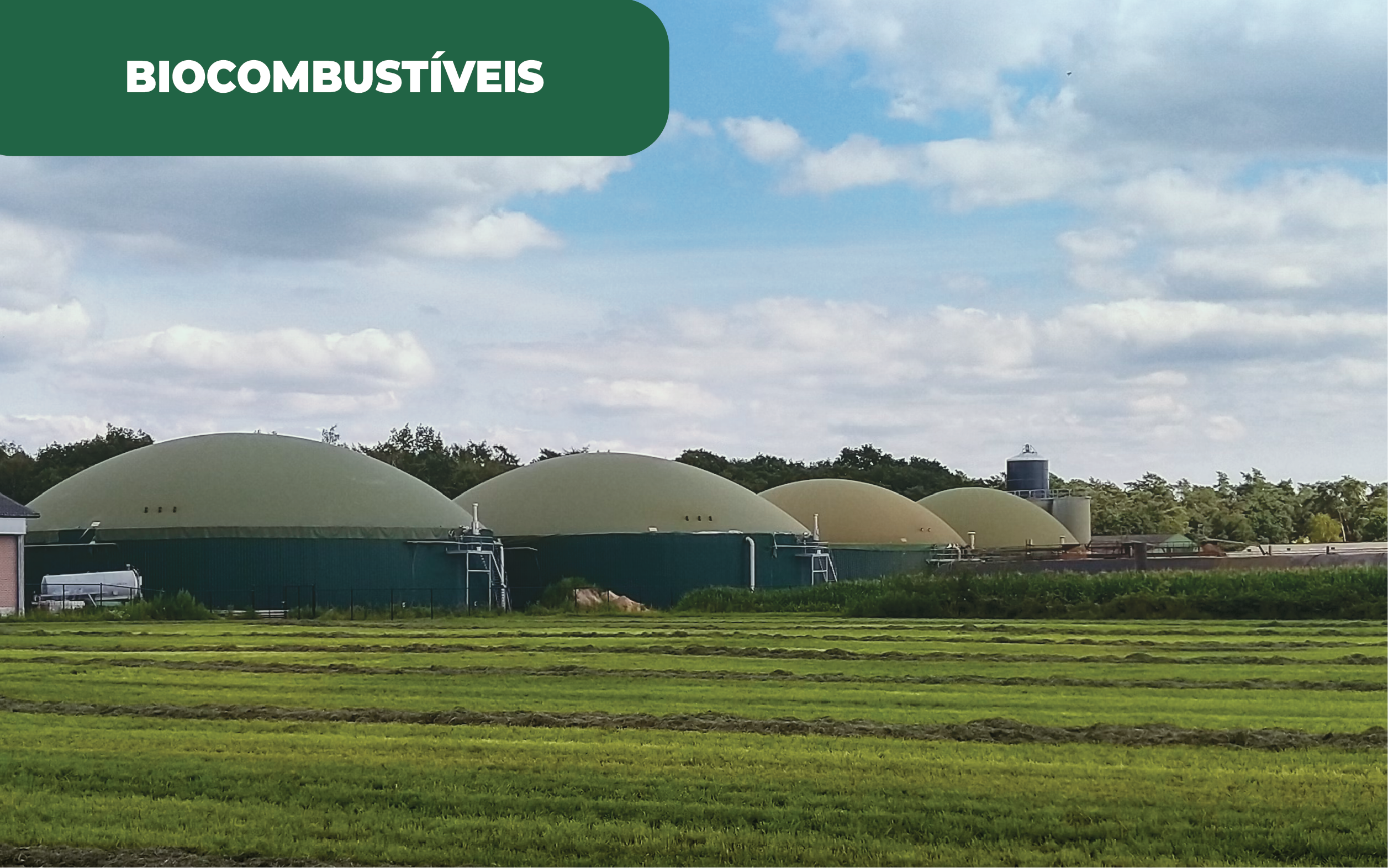 Imagem colorida de 4 estações de tratamento e transformação para biocombustíves ou biogás