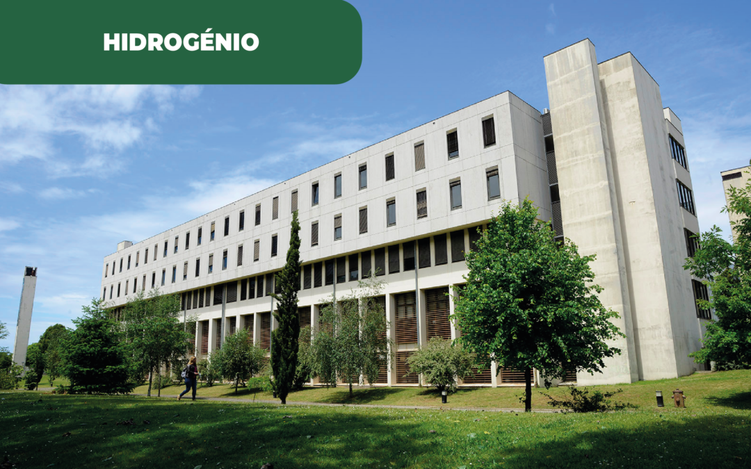 Quando a nanotecnologia e hidrogénio verde cruzam caminhos por uma maior sustentabilidade