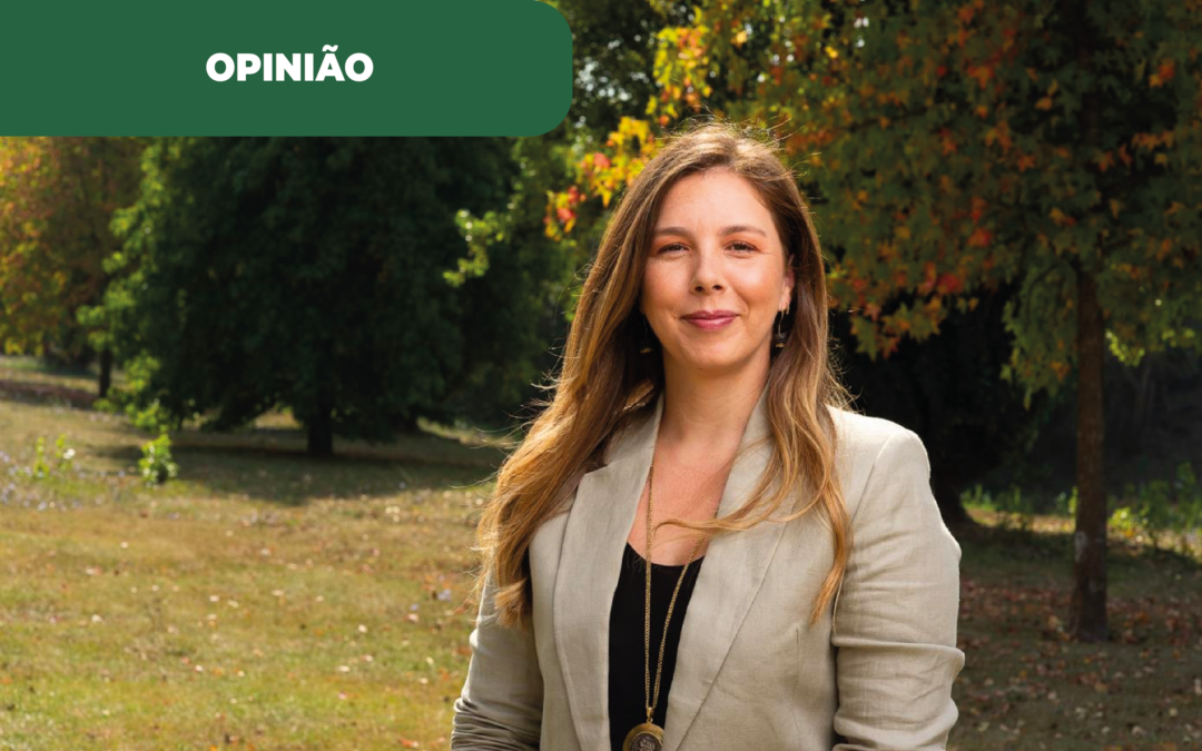 Mobilidade de origem renovável para uma transição energética equilibrada