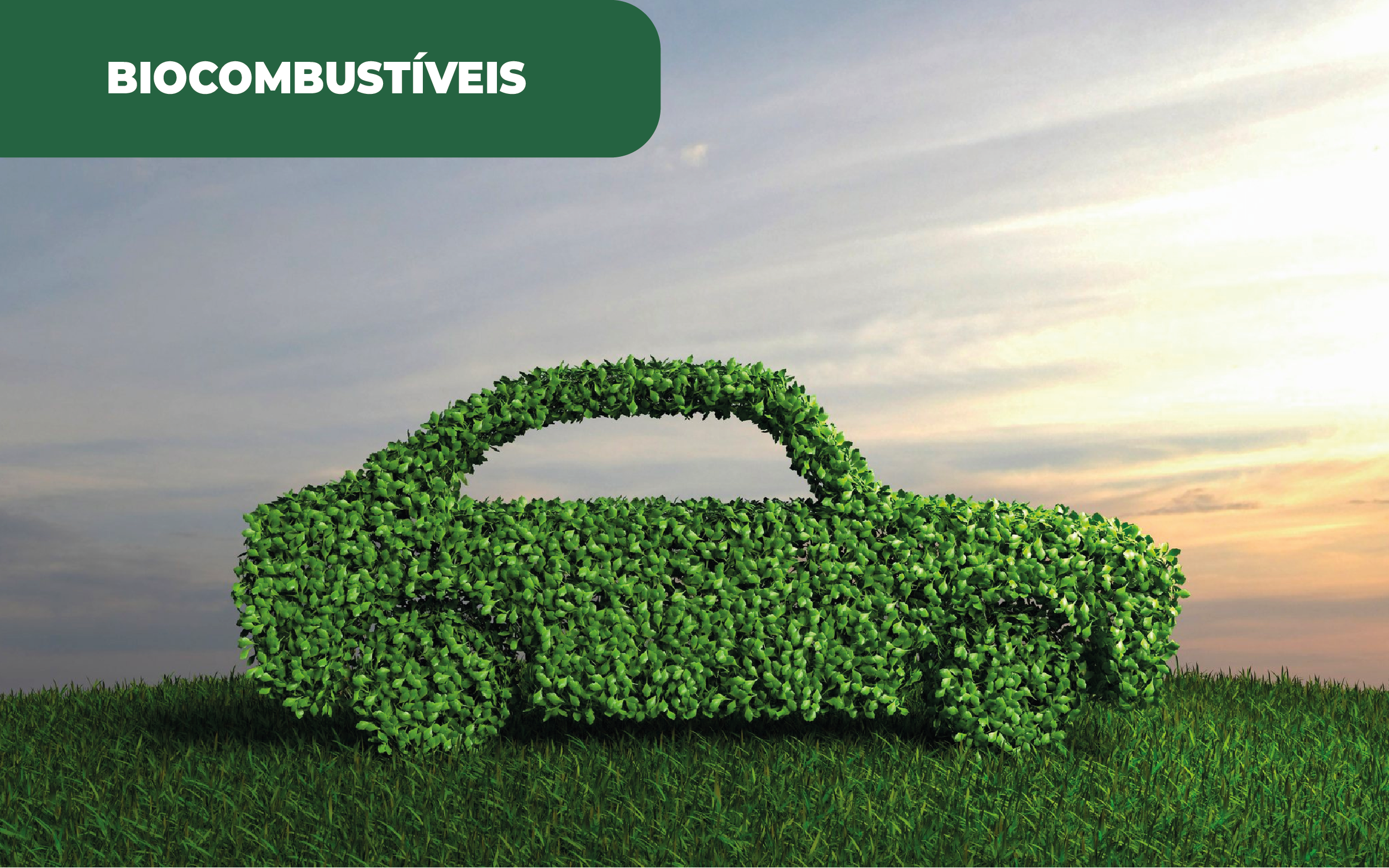 Imagem ilustrativa de um automóvel "feito" de folhas, aludindo aos biocombustíveis, e à presença do Ecodiesel da PRIO em 60 postos portugueses