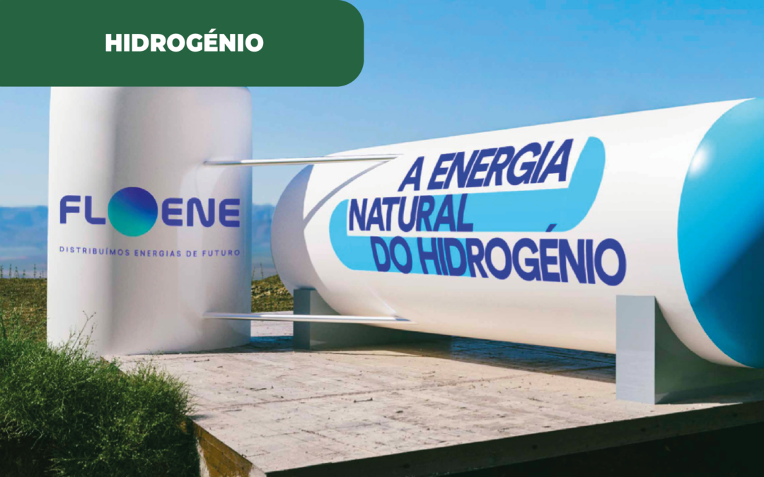 Pedidos para hidrogénio aumentam na empresa Floene