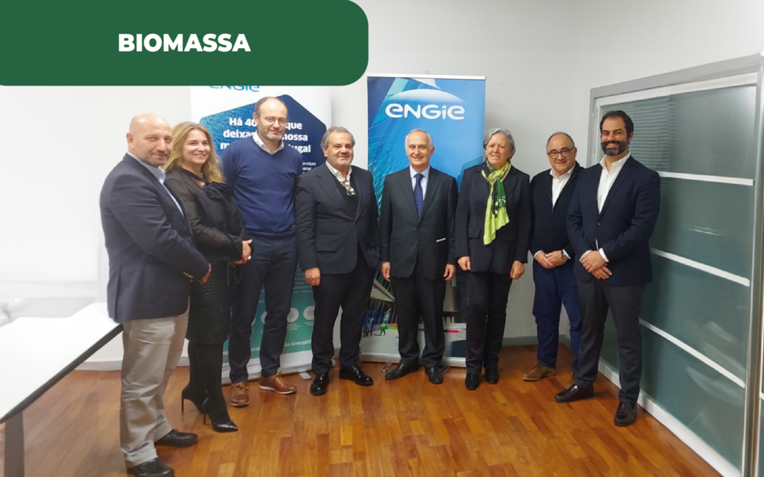 Engie investe em biomassa, numa operação que faz parte dos objetivos de produção energética