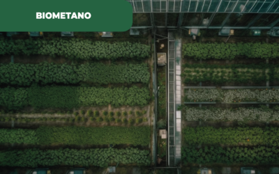 Plano de Ação para o Biometano e acesso para a sua consulta pública, apresentados pelo Governo Português