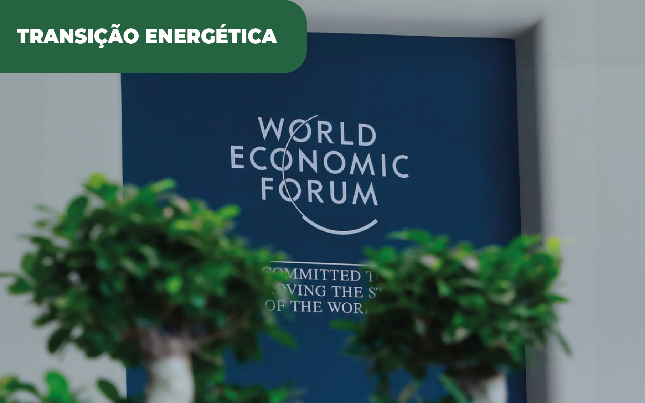 Imagem ilustrativa do logo do Fórum Económico Mundial, onde um novo estudo revela o impacto dos bicombustíveis no futuro ambiental e social.