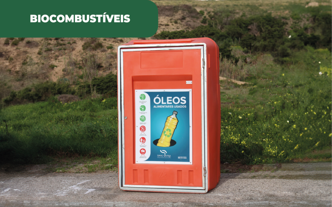 Reforço dos oleões em Sintra, com mais 20 equipamentos, ao longo de 2024