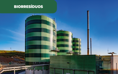 Biorresíduos transformados em energia em Cascais, onde a sensibilização no município marca a diferença