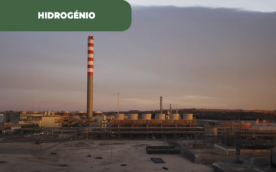 Itália aposta em Sines, em mais um projeto de hidrogénio e amoníaco