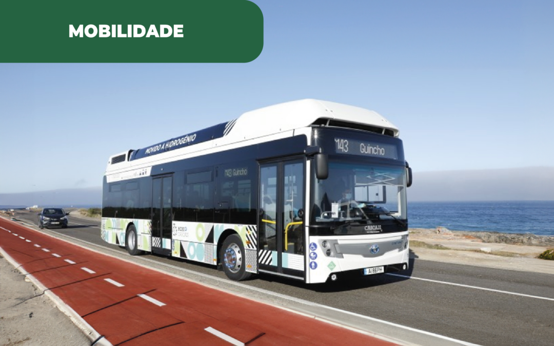 Cascais constrói unidade de hidrogénio, tornando-se um dos primeiros municípios com estas infraestruturas