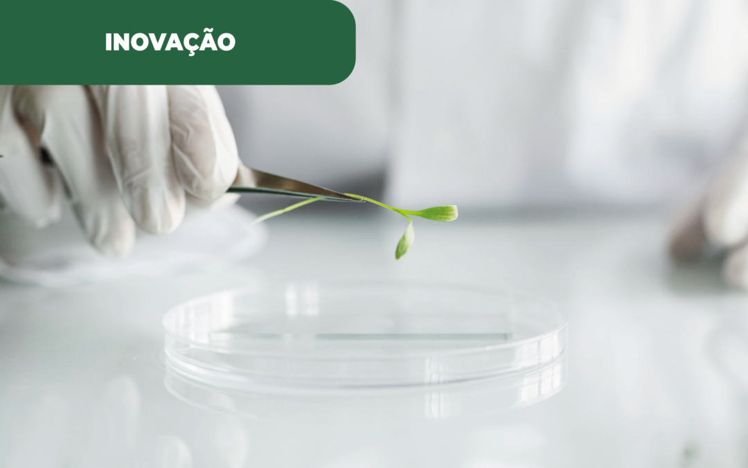 Microalgas na produção de biocombustível e em projetos de biorremediação ambiental