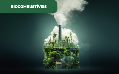 Leilão de gases renováveis lançado pelo Ministério do Ambiente e Energia