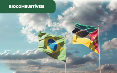 Assinado o Memorando que coloca Brasil e Moçambique em rota do desenvolvimento em biocombustíveis