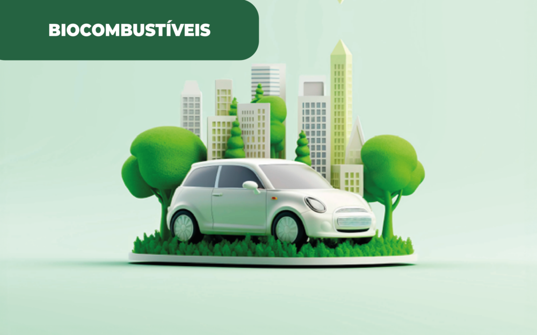 Elétricos trocados por e-fuels, à medida que o mercado fica sem resposta para a eletrificação total