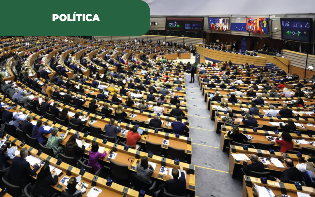 PPE quer revisão ao fim dos motores a combustão, numa nova abordagem às energias alternativas
