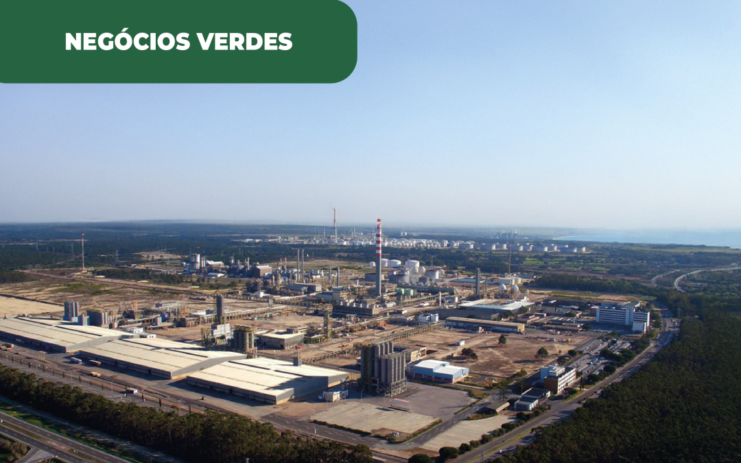 Por resposta ao aumento espanhol de impostos, Repsol troca Espanha por Sines