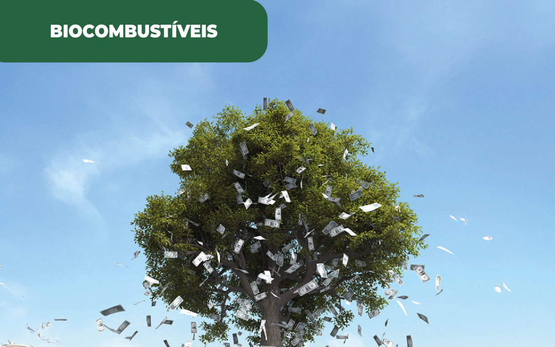 Biocombustíveis trarão lucros às empresas, tanto como os combustíveis fósseis, afirma o vice-presidente executivo da Moeve