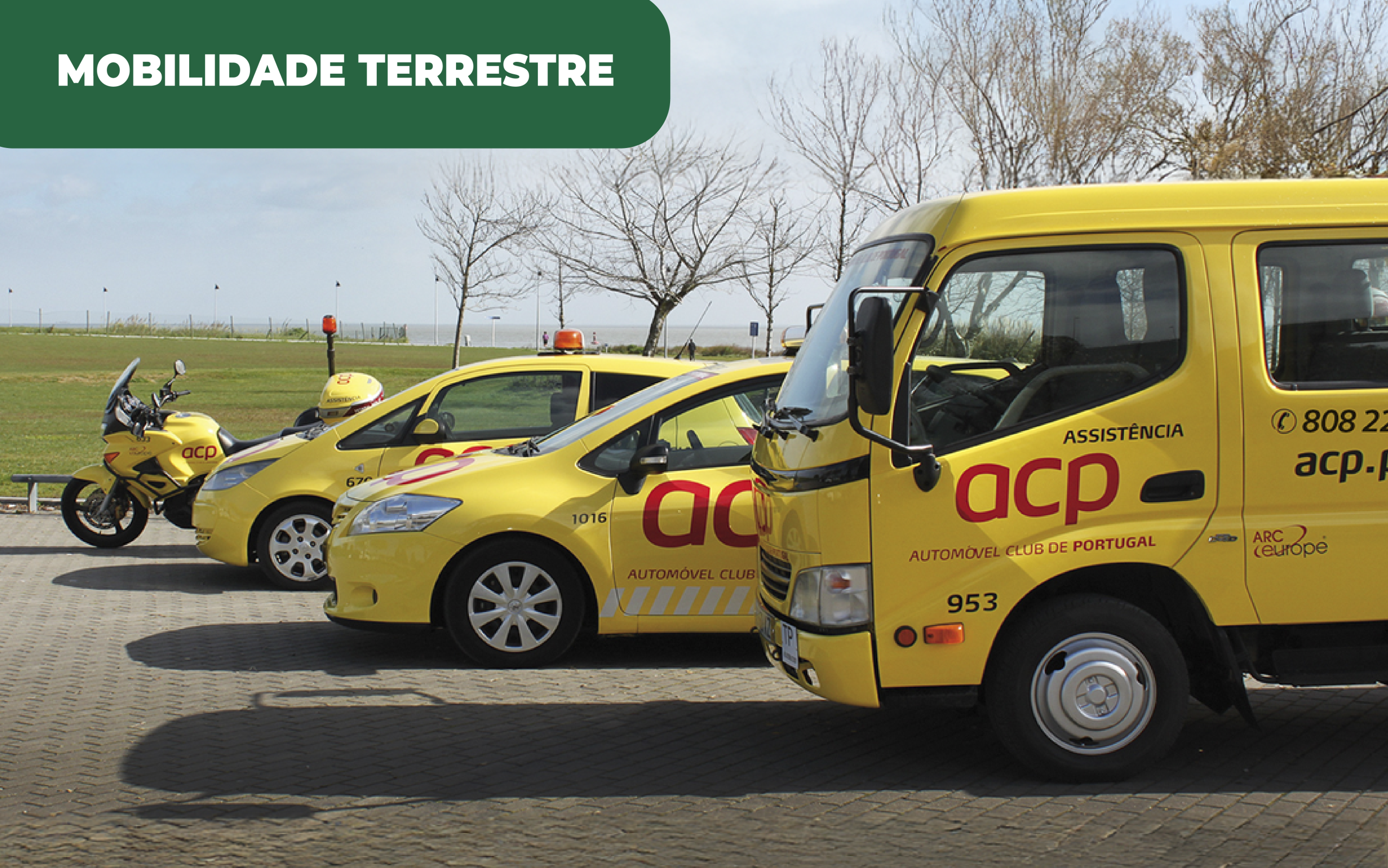Poupar com híbridos é a dica do ACP aos consumidores,