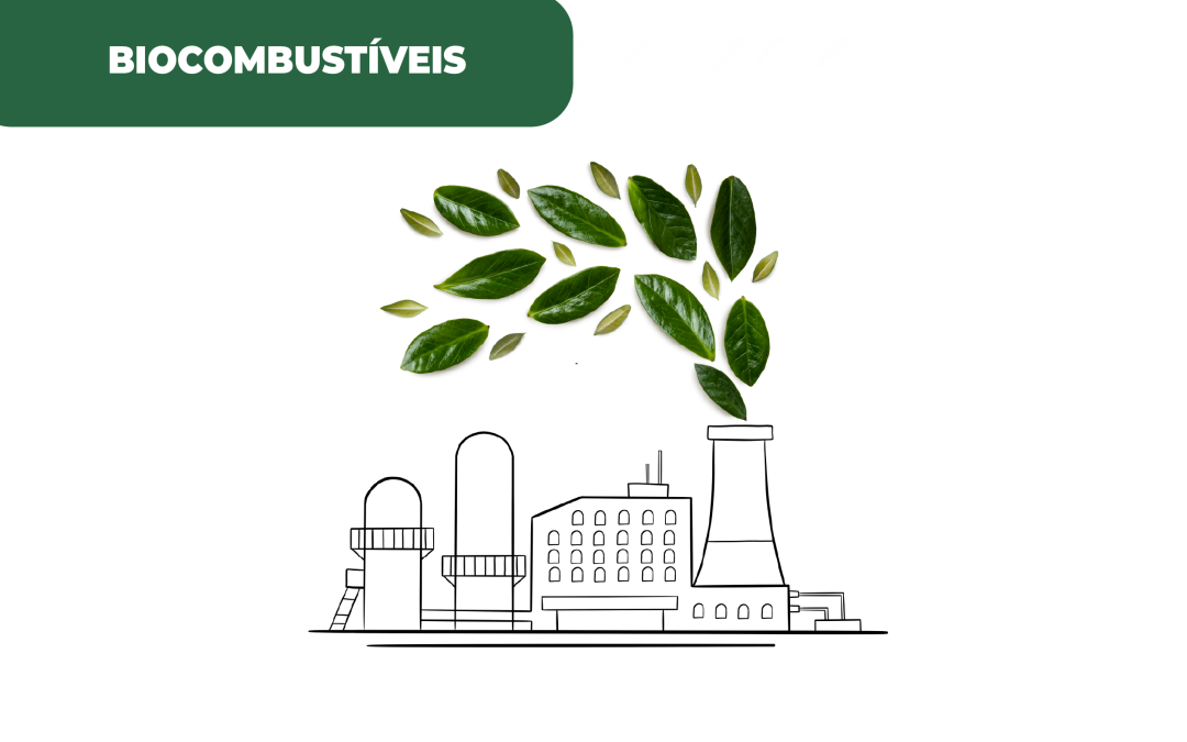 Biocombustíveis avançados são solução energética e ambiental
