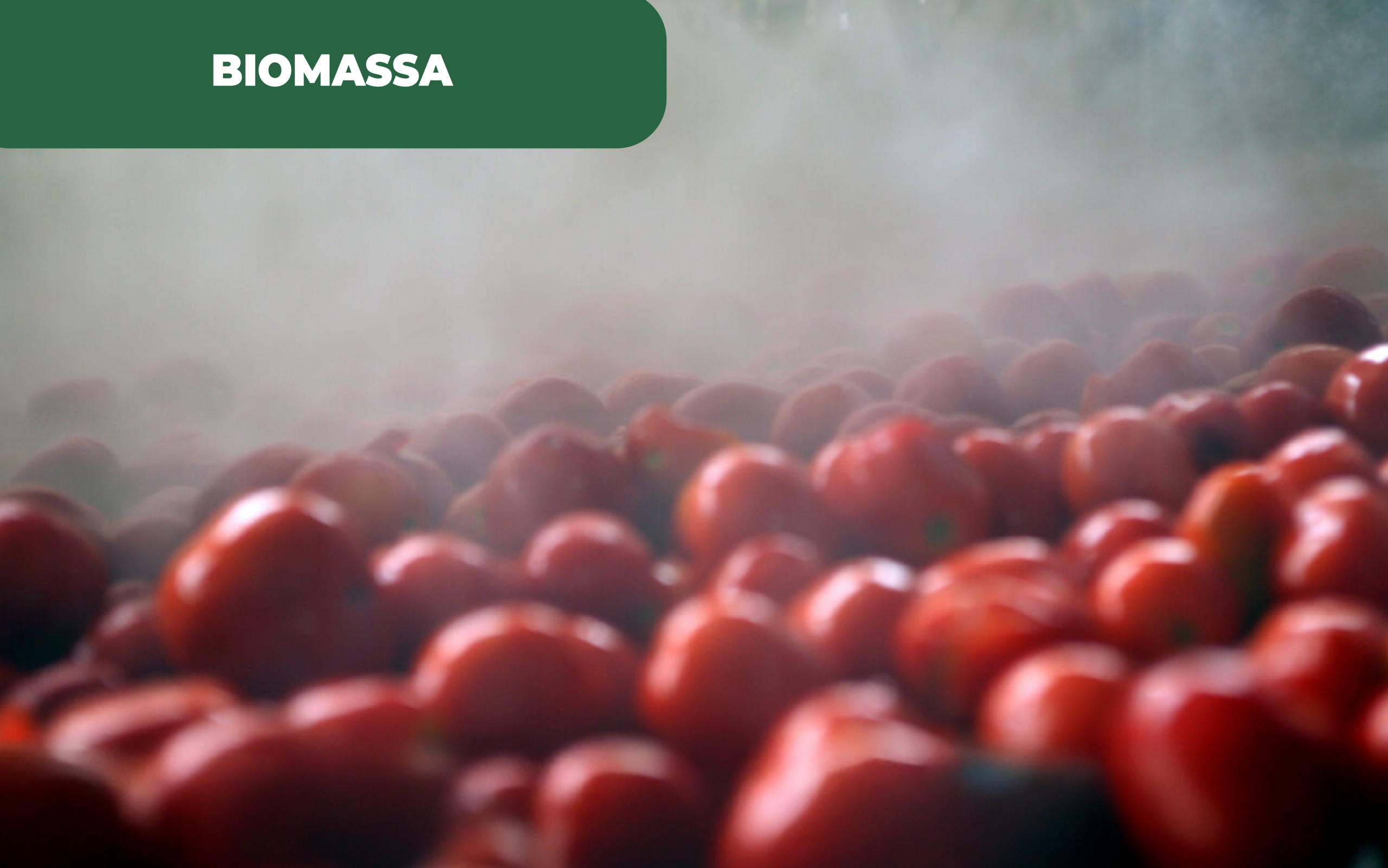 Benavente instala caldeira de biomassa e promove a descarbonização do setor industrial agrário