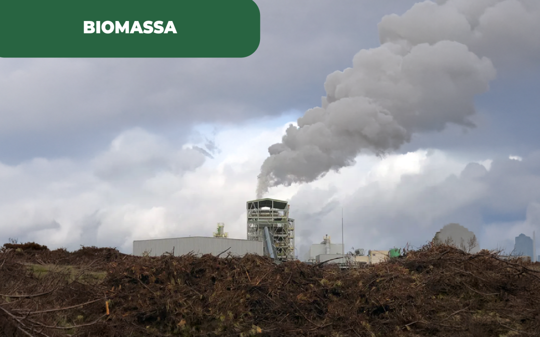 Biomassa para a neutralidade carbónica