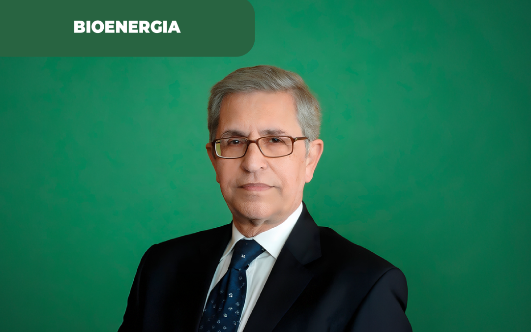 Bioenergia e transição energética