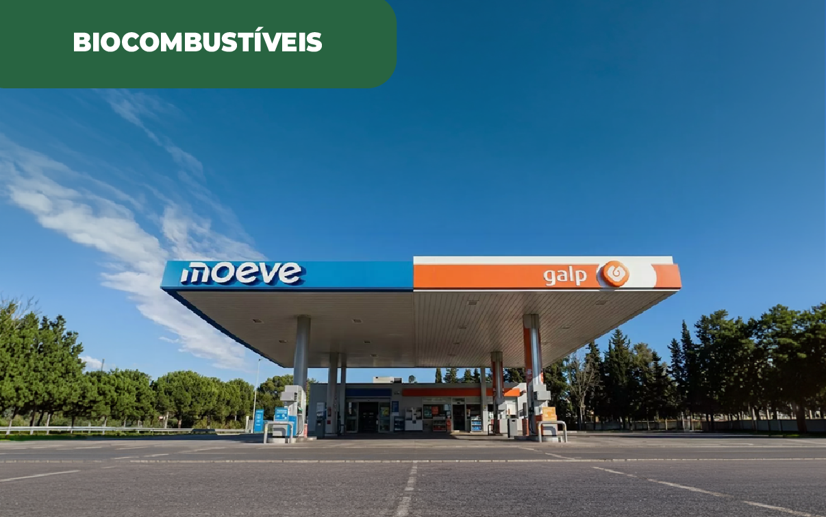 Moeve a aliada da Galp em Portugal para os biocombustiveis
