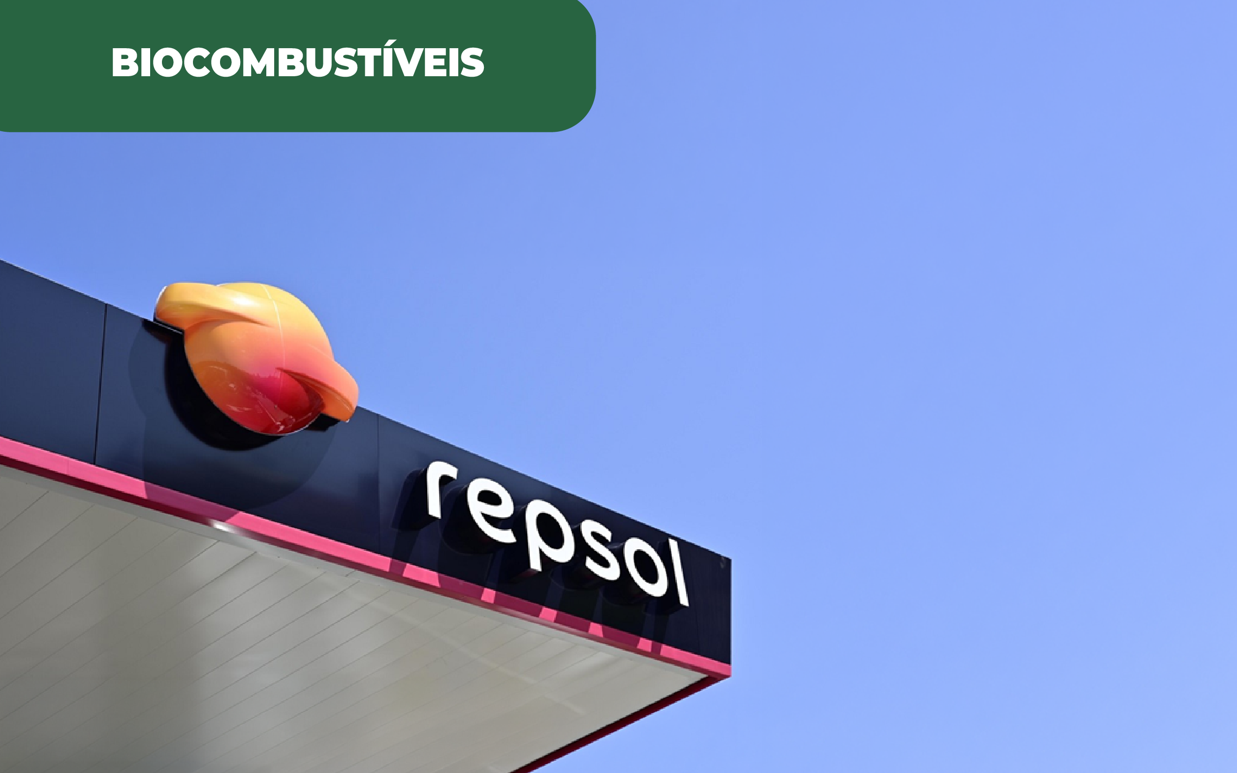 Biocombustíveis enquanto alternativa energética