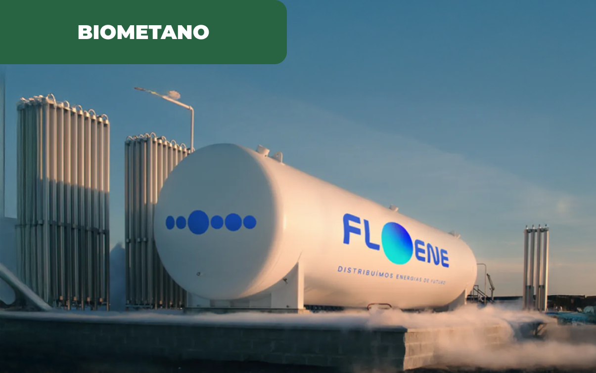 Potencial para biometano em Portugal