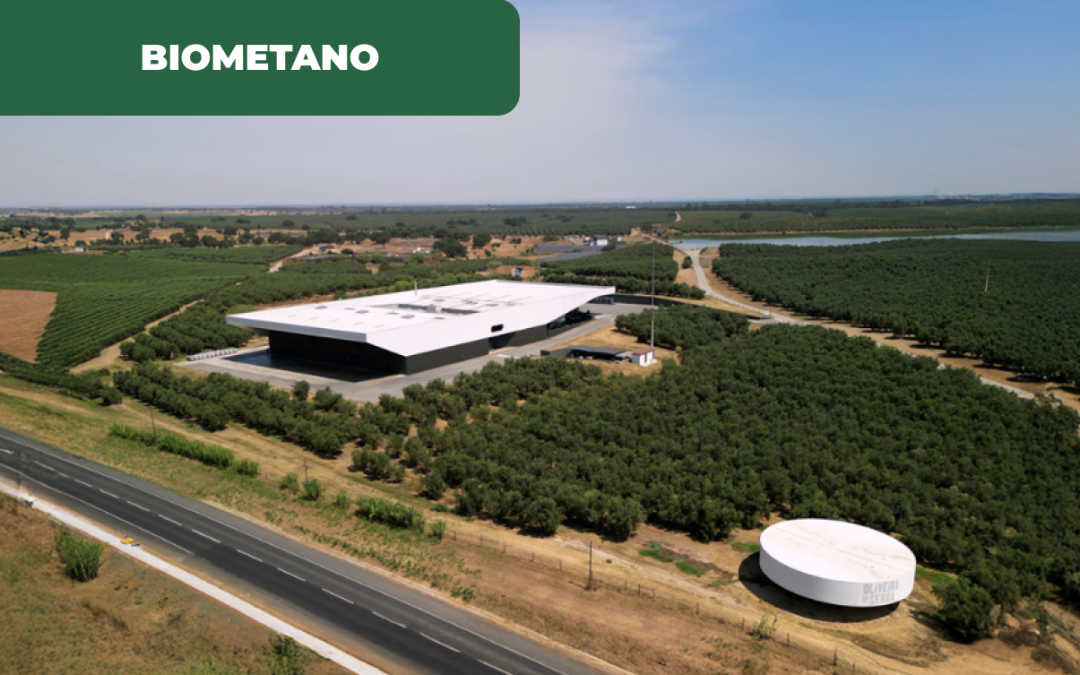 Nova unidade de biometano no Baixo Alentejo