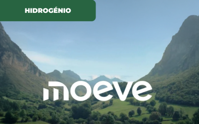 Moeve aposta forte no hidrogénio verde
