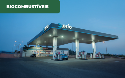 Limitação europeia à mistura de biocombustíveis levanta desafios às produtoras