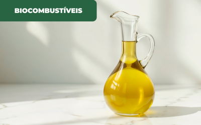 Portugal desperdiça óleos alimentares usados