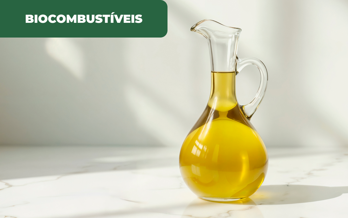 Portugal desperdiça óleos alimentares usados.