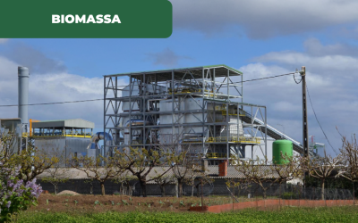 Biomassa do Fundão entra na rede elétrica nacional