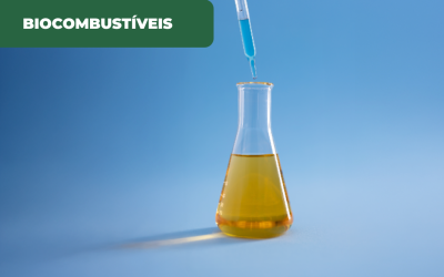 HVO uma alternativa de energia com potencial para crescer