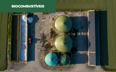 Bioenergia e a resiliência energética de Portugal