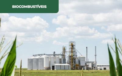 França apoia flexibilização das misturas de biocombustíveis