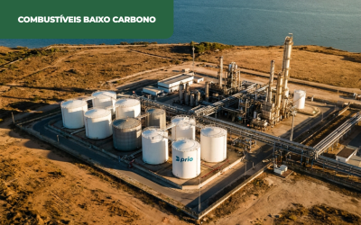 O peso da bioenergia em Portugal