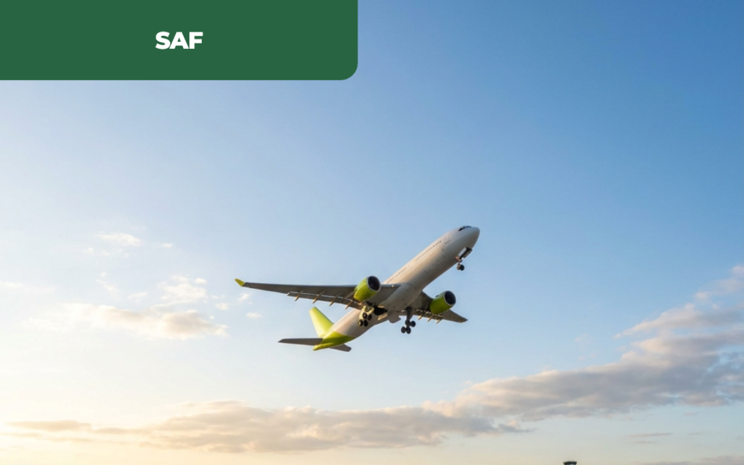 SAF voa alto na União Europeia